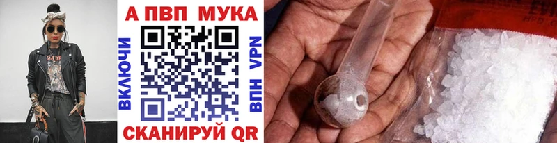A PVP СК КРИС Калининград