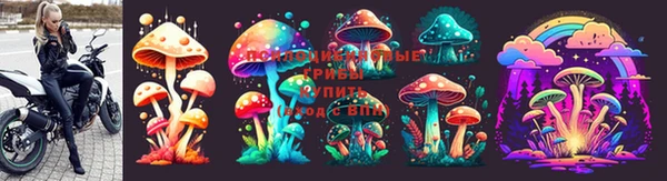 гашиш Касимов