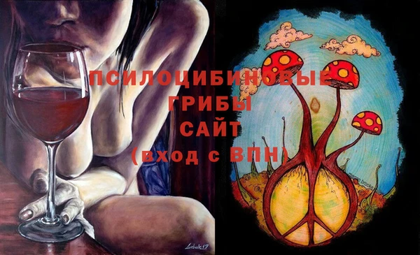 гашиш Касимов
