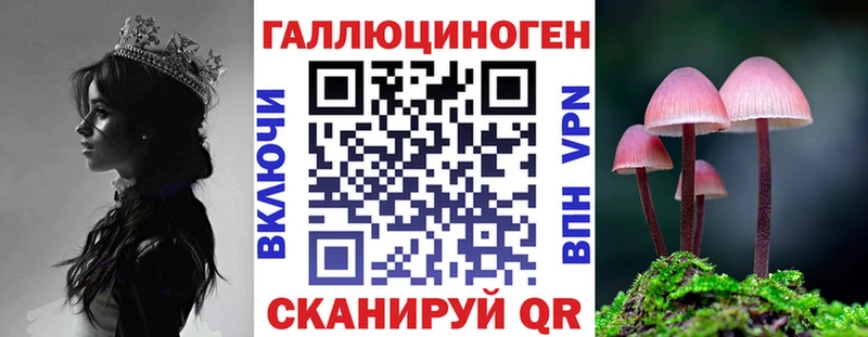 Купить закладки  Калининград  Псилоцибиновые грибы Cubensis 